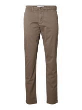 Selected 16087663 Morel